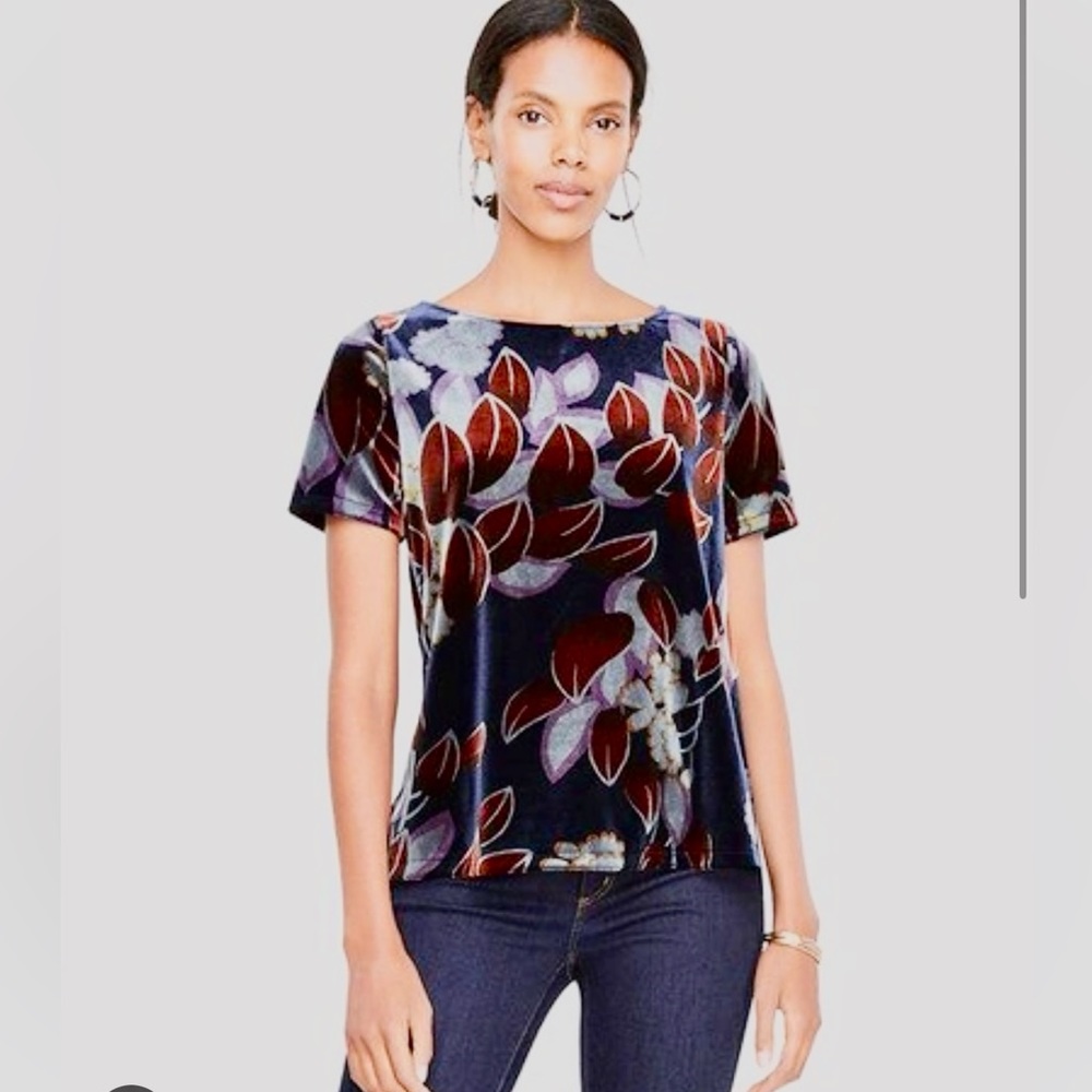 Ann Taylor Botanical Velvet Tee